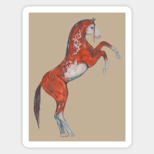 Paint red horse Magnet